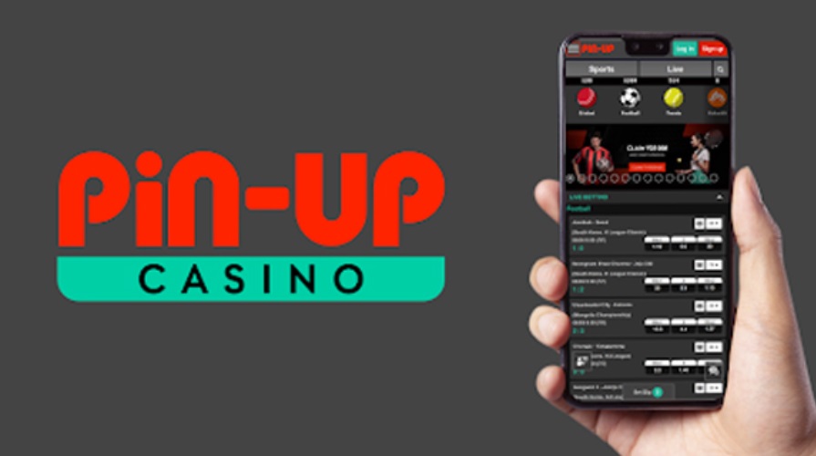 Pin-Up Casino Apk Download.